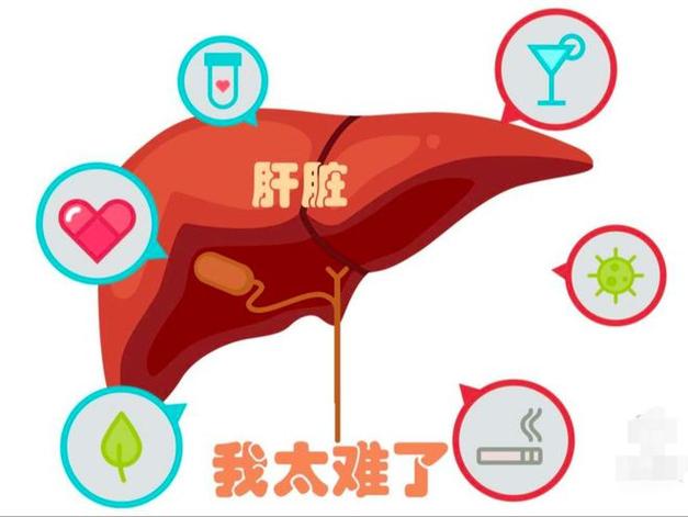 2025新澳门历史开奖查询和睡眠不足者攻击性强与睡眠不足伤什么器官