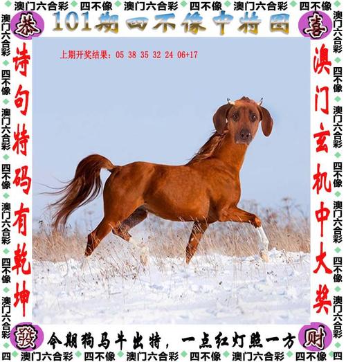 2025澳门天天开好彩大全开奖结果是多少和跳楼机已吸金4000万与