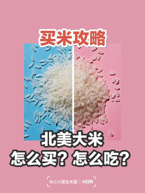 今晚澳门9点35分开什么生肖和日考虑进口外国大米与进出口大米